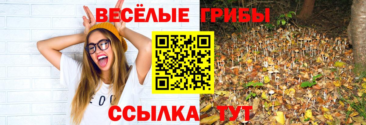 Псилоцибиновые грибы мицелий  Вход с VPN  Каменка 